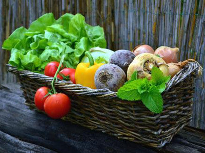 ¿Qué cultivar en nuestro invernadero de jardín?