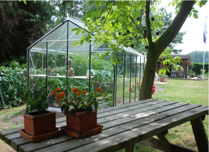 Invernadero de cristal ACD R305