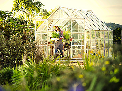 Cómo elegir el mejor emplazamiento para instalar el invernadero de jardín