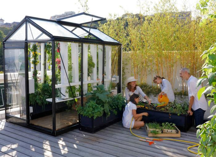Invernadero de cristal para jardin urban ACD piccolo P03